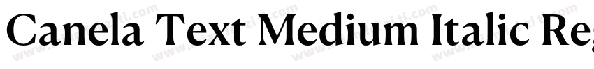 Canela Text Medium Italic RegularVe字体转换